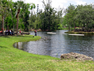 Amelia Earhart Park Pond