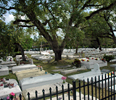 Charlotte Jane Memorial Cemetery