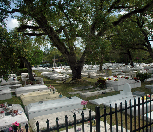 Charlotte Jane Memorial Park Coconut Grove Cemetery