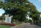 Miami Lakes