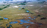 Sawgrass Aerial View